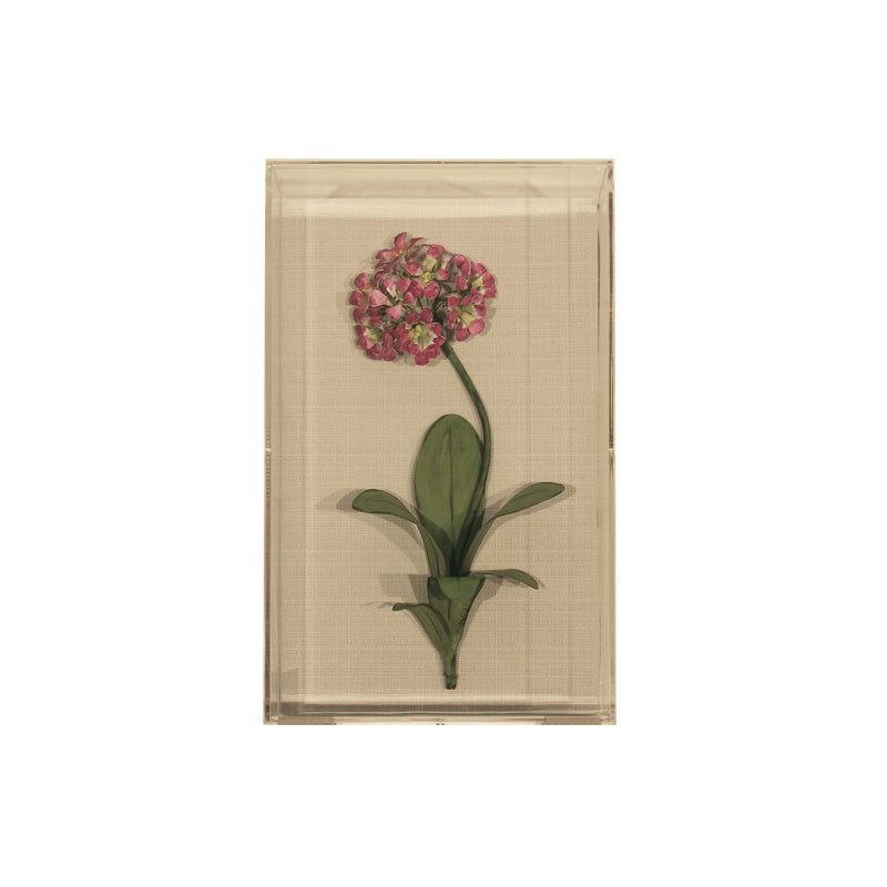 Handmade Metal Primula Floral Study in Perspex