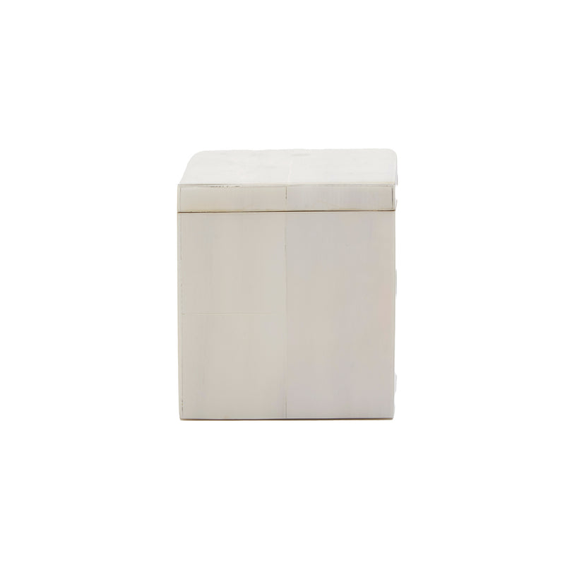 Arles Faux Horn White Cannister