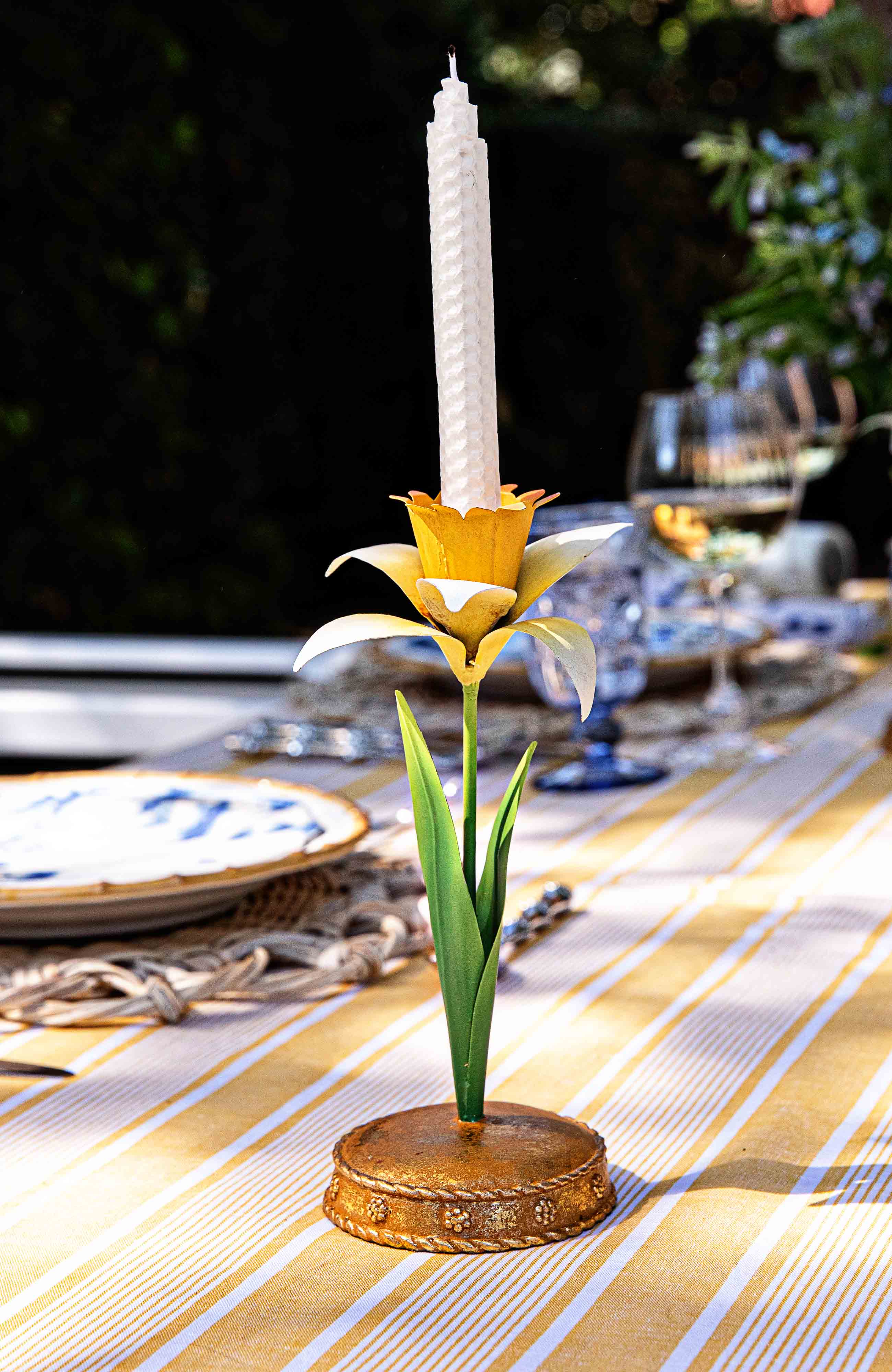 Meadow Walk Daffodil 9