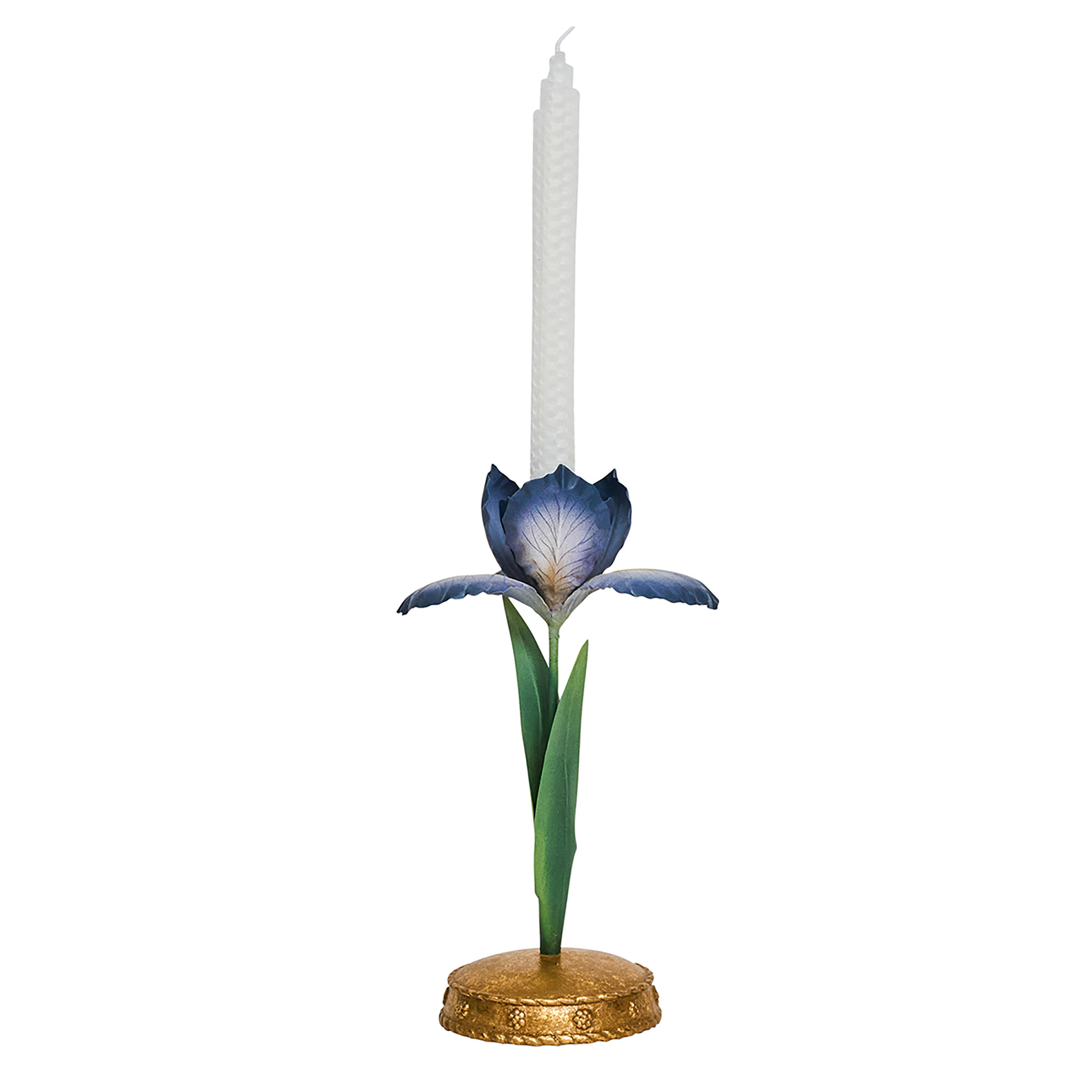 Meadow Walk Iris 9