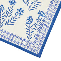Napkin Phlox - Blue