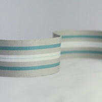 Trimming Woodsford Narrow Woven Border Aqua NCT504-01