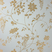 Fandango Wisteria (Wa3) NCW2242-07