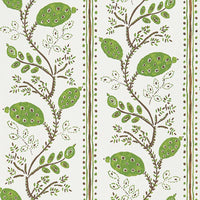 Ashdown Pomegranate Trail Green/Choc NCW4390-03