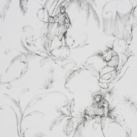 Fontibre Barbary Toile Charcoal NCW4205-05