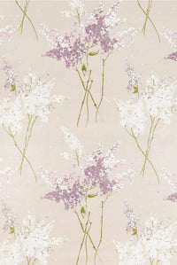 Montacute Barrington Purple/Biege NCF4053-01