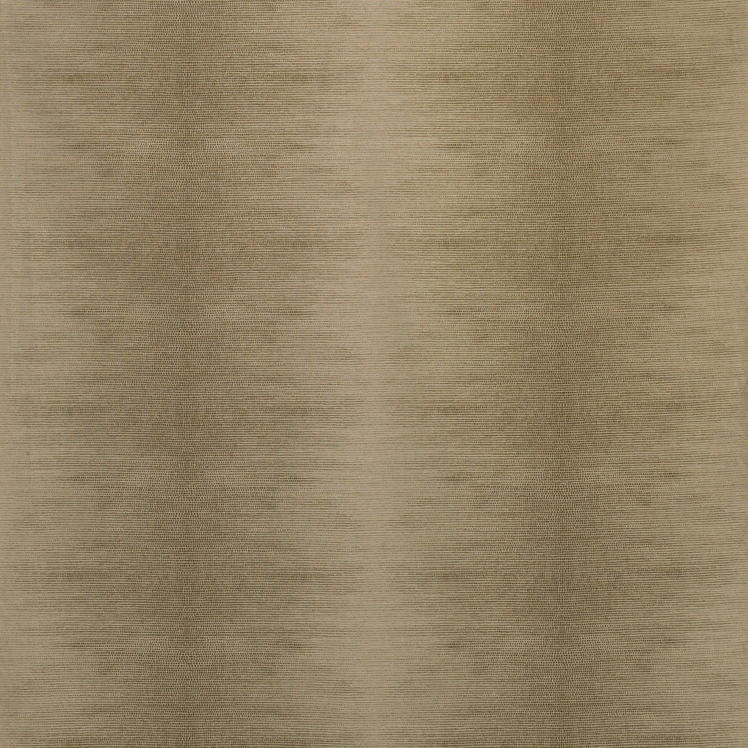 Coromandel Calypso Beige Fabric - NCF4242-05