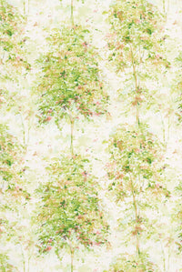 Rosslyn Lochwood Green/Coral NCF4133-01