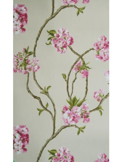 Nina Campbell Wallpaper - Sylvana Orchard Blossom (Wa3) - NCW4027-01