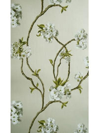 Sylvana Orchard Blossom (Wa3) NCW4027-05