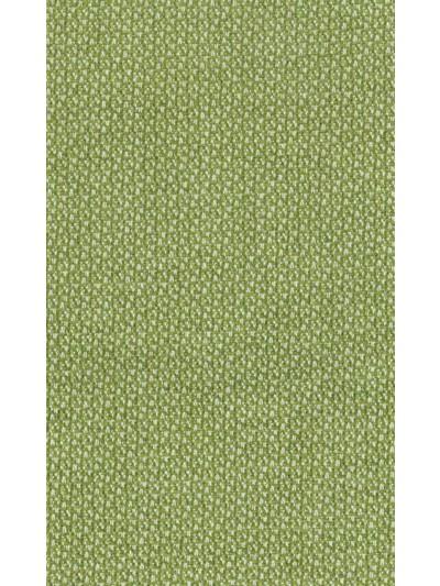 Cathay Weaves Zuli Lime Fabric - NCF4162-02